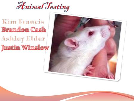 What is Animal Testing? Animal testing is the use of animals in scientific experiments. Most animal testing is done by universities, pharmaceutical companies,