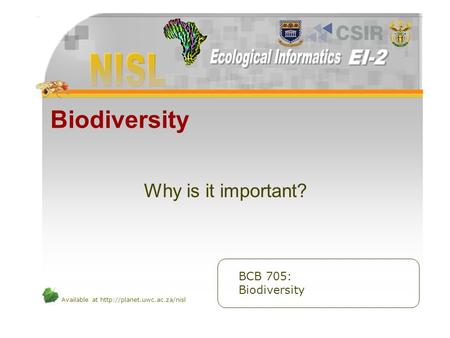 Available at  Biodiversity Why is it important? BCB 705: Biodiversity.