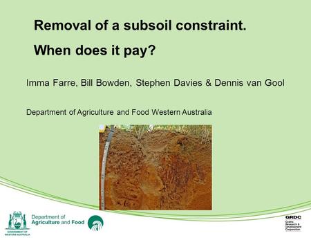 Removal of a subsoil constraint. When does it pay? Imma Farre, Bill Bowden, Stephen Davies & Dennis van Gool Department of Agriculture and Food Western.