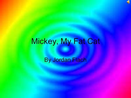 Mickey, My Fat Cat By Jordan Flach How he got his name Mickey, my fat cat was named after a mouse because of three spots on his back that make a Mickey-Mouse.