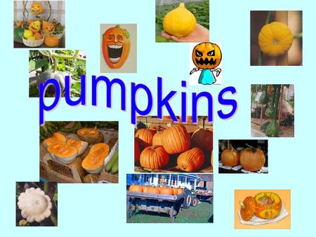 Are you interested in Let’s talk… What is pumpkin?  Pumpkins are members of the gourd family. They are related to melons, cucumbers and squashes.