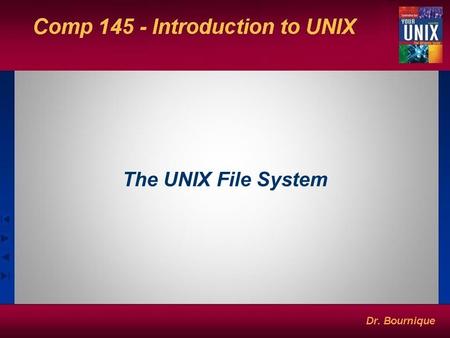 The UNIX File System. The UNIX File A file is a container for storing information and data. Filename limited to 255 characters. Can’t contain / or NULL.