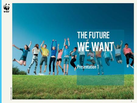 11 © ISTOCKPHOTO.COM THE FUTURE WE WANT Presentation 1.
