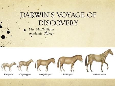 DARWIN’S VOYAGE OF DISCOVERY Mrs. MacWilliams Academic Biology.