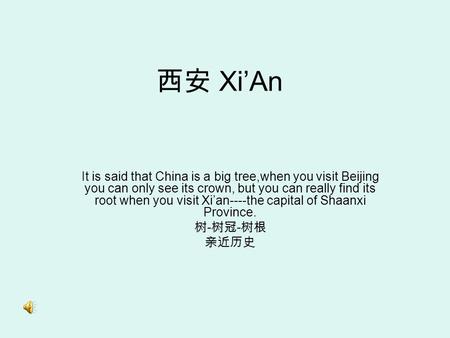 西安 Xi’An It is said that China is a big tree,when you visit Beijing you can only see its crown, but you can really find its root when you visit Xi’an----the.