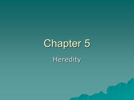 Chapter 5 Heredity.