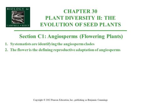 CHAPTER 30 PLANT DIVERSITY II: THE EVOLUTION OF SEED PLANTS Copyright © 2002 Pearson Education, Inc., publishing as Benjamin Cummings Section C1: Angiosperms.