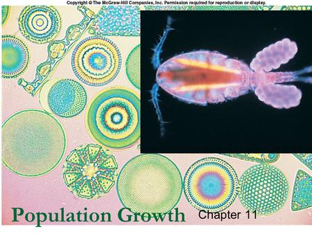 1 1 Population Growth Chapter 11. 2 2 Outline Geometric Growth Exponential Growth Logistic Population Growth Limits to Population Growth  Density Dependent.