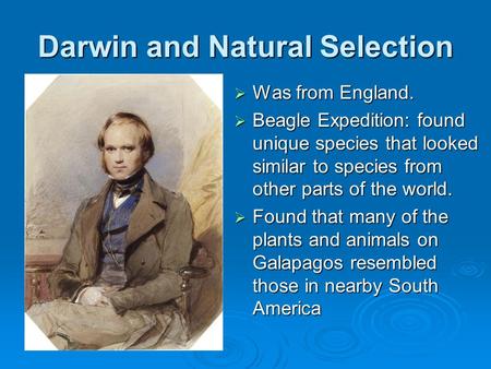 Darwin and Natural Selection  Was from England.  Beagle Expedition: found unique species that looked similar to species from other parts of the world.