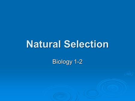 Natural Selection Biology 1-2. Natural Selection  The primary mechanism of evolution is natural selection. Natural selection-differential success in.