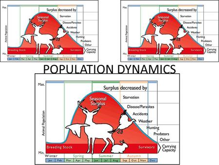 POPULATION DYNAMICS. POPULATION – POPULATION  DEF?? – POPULATION ECOLOGY CONCERNED WITH THE CHANGES IN POPULATION SIZE AND THE FACTORS THAT REGULATE.
