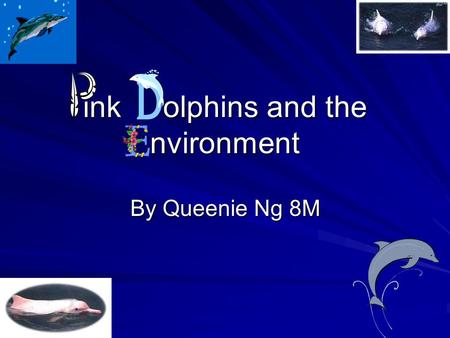 ink olphins and the nvironment
