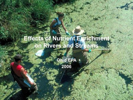 Effects of Nutrient Enrichment on Rivers and Streams Ohio EPA 2006.