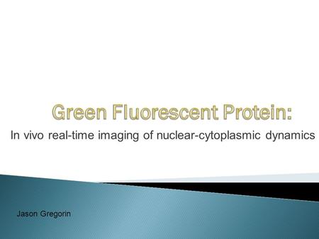 In vivo real-time imaging of nuclear-cytoplasmic dynamics Jason Gregorin.
