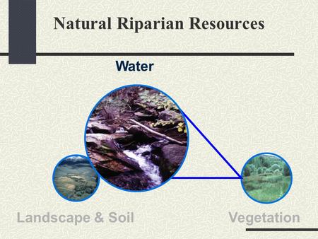 Natural Riparian Resources Water Landscape & SoilVegetation.