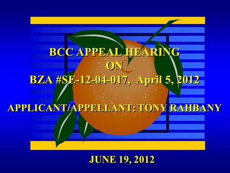 JUNE 19, 2012 BCC APPEAL HEARING ON BZA #SE-12-04-017, April 5, 2012 APPLICANT/APPELLANT: TONY RAHBANY.