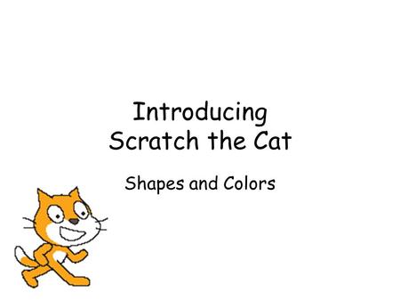 Introducing Scratch the Cat