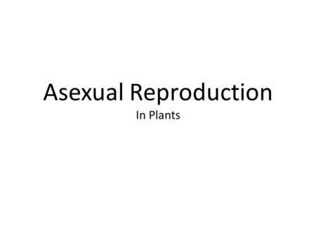 Asexual Reproduction In Plants. One of the most interesting and important areas of horticulture is_________________________. All organisms, including.