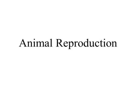 Animal Reproduction. Reproduction is asexual or sexual –asexual reproduction offspring genetically identical to parent and siblings saves costs of sexual.