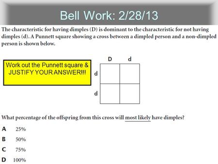 Work out the Punnett square & JUSTIFY YOUR ANSWER!!!