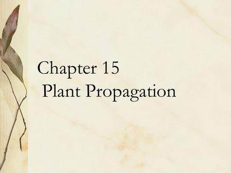 Chapter 15 Plant Propagation. Asexual Reproduction Cuttings Grafting Budding Layering Division Rhizomes Stolons Tillers or Suckers.