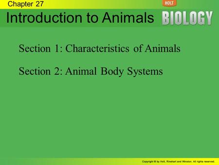 Introduction to Animals