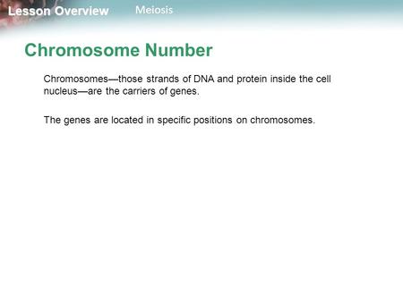 Lesson Overview Lesson OverviewMeiosis Chromosome Number Chromosomes—those strands of DNA and protein inside the cell nucleus—are the carriers of genes.