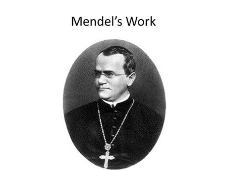 Mendel’s Work. Genetics: The scientific study of heredity. – Heredity: The passing of physical characteristics from parents to offspring. Traits: the.