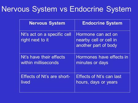 Nervous System vs Endocrine System Nervous SystemEndocrine System Nt’s act on a specific cell right next to it Hormone can act on nearby cell or cell in.