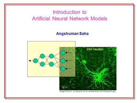 Introduction to Artificial Neural Network Models Angshuman Saha Image Source: ww.physiol.ucl.ac.uk/fedwards/ ca1%20neuron.jpg.
