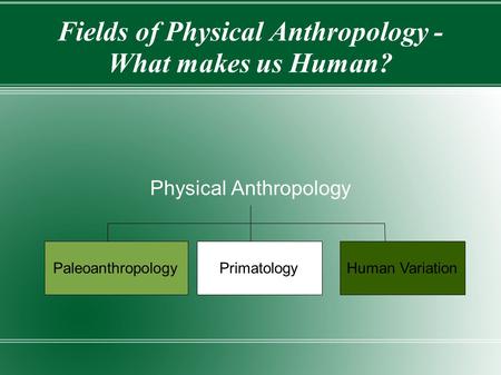 Fields of Physical Anthropology - What makes us Human?