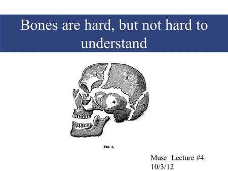 Bones are hard, but not hard to understand Muse Lecture #4 10/3/12.