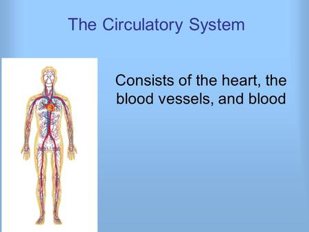 The Circulatory System Consists of the heart, the blood vessels, and blood.