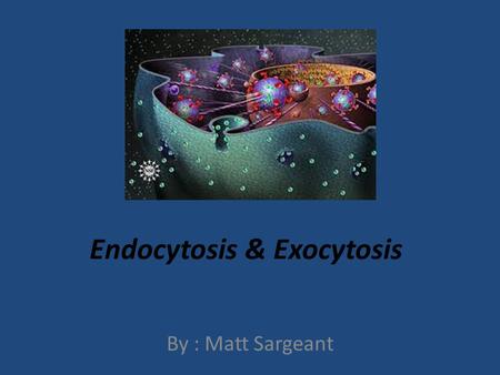 Endocytosis & Exocytosis By : Matt Sargeant. What is Endocytosis and Exocytosis? Endocytosis is a process by which cells absorb molecules (such as proteins)