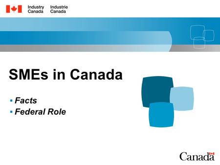 SMEs in Canada Facts Federal Role. 1 Outline Overview of SMEs in Canada Roles of Government.