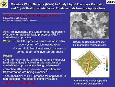 Materials World Network (MWN) to Study Liquid Precursor Formation and Crystallization at Interfaces: Fundamentals towards Applications Aim: To investigate.