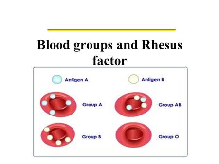 Blood groups and Rhesus factor