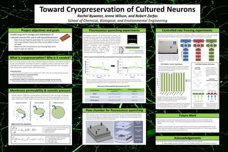Toward Cryopreservation of Cultured Neurons Rachel Bywater, Jenna Wilson, and Robert Zarfas School of Chemical, Biological, and Environmental Engineering.