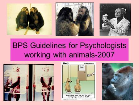 BPS Guidelines for Psychologists working with animals-2007.
