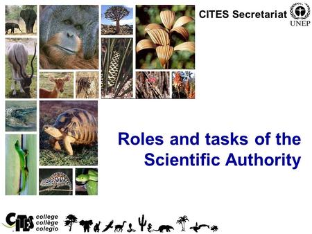 1 Roles and tasks of the Scientific Authority CITES Secretariat.