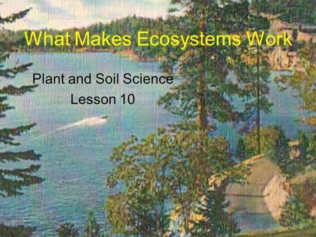 What Makes Ecosystems Work Plant and Soil Science Lesson 10.