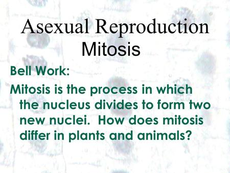 1 1 Asexual Reproduction Mitosis Bell Work: Mitosis is the process in which the nucleus divides to form two new nuclei. How does mitosis differ in plants.
