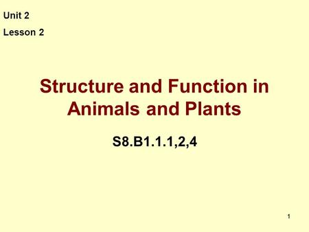 11 Structure and Function in Animals and Plants S8.B1.1.1,2,4 Unit 2 Lesson 2.