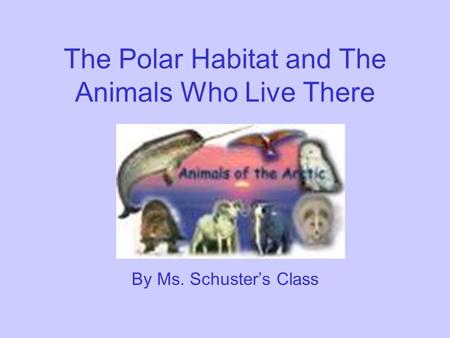 The Polar Habitat and The Animals Who Live There