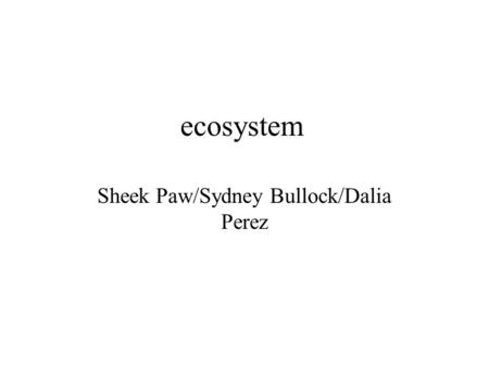 Ecosystem Sheek Paw/Sydney Bullock/Dalia Perez. ecosystem Ecosystem is made out of a communityof organism and the abiotic environment. Ecosystem could.