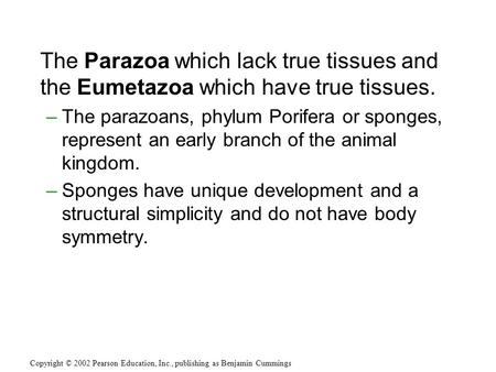 The Parazoa which lack true tissues and the Eumetazoa which have true tissues. –The parazoans, phylum Porifera or sponges, represent an early branch of.