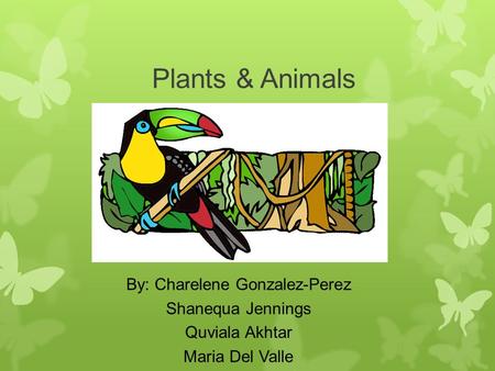 Plants & Animals By: Charelene Gonzalez-Perez Shanequa Jennings Quviala Akhtar Maria Del Valle.