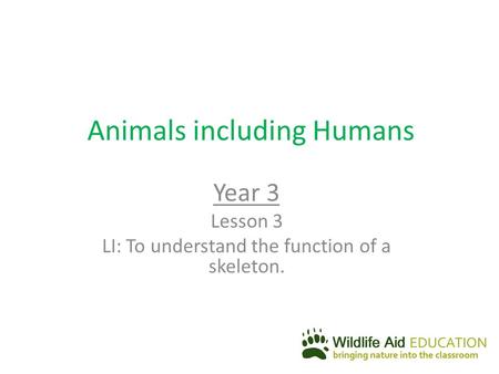 Animals including Humans Year 3 Lesson 3 LI: To understand the function of a skeleton.