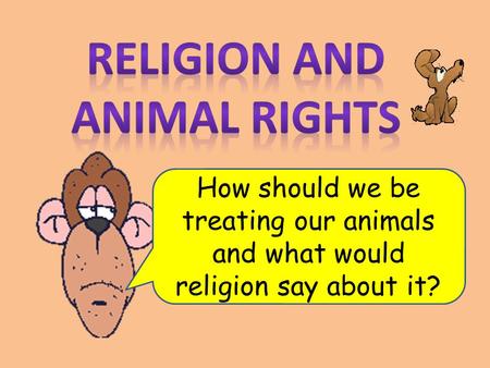 How should we be treating our animals and what would religion say about it?
