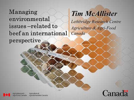 Agriculture and Agri-Food Canada Agriculture et Agroalimentaire Canada Managing environmental issues –related to beef an international perspective Tim.